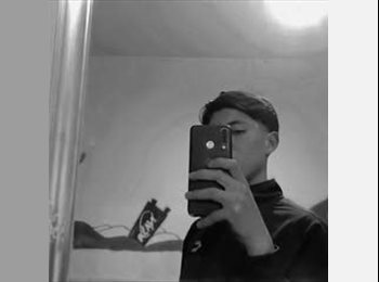 Roomgo MX - Diego - 19 - Querétaro