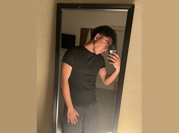 Roomgo MX - Sebastian - 25 - Cuauhtémoc