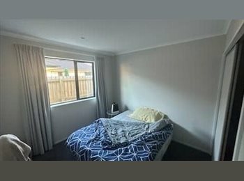 Roomgo NZ - Looking for roomate, Christchurch - $260 pw