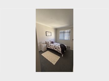 Roomgo NZ - Room in Flat Bush for rent, Auckland - $250 pw