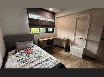 Roomgo SG - Female tenant for Common Room at Clementi for Rent, Clementi - $1,280 pm