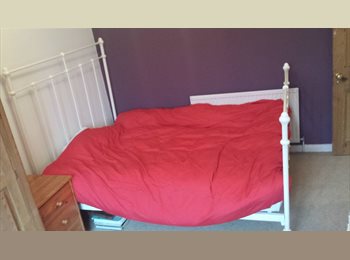 Roomgo UK - Large double room in nice comfy house, Roehampton - £800 pcm