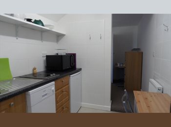 Roomgo UK - Brilliant Student Studio Available July 26, Selly Park - £600 pcm