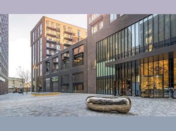 Roomgo UK - Private Room in Split level Apartment in Central London, Nine Elms - £1,390 pcm