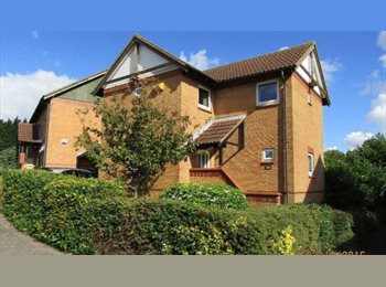 Roomgo UK - Housemate wanted for 2 bedroom detached house, Milton Keynes - £630 pcm