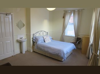 Roomgo UK - Huge Double in Professional House Inc Most Bills No Deposit, Gateshead - £560 pcm