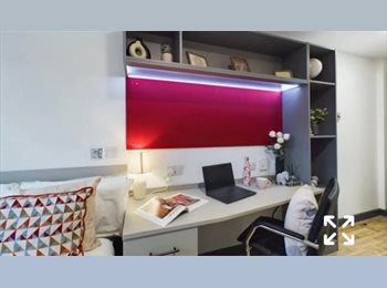 Roomgo UK - classic ensuite in Red Queen student accommodation, Lime Tree Park - £135 pcm