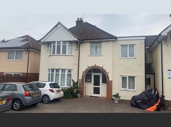 Roomgo UK - Double room close to,hospital, Ipswich - £550 pcm