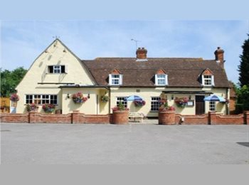 Roomgo UK - Room to Rent Duck Inn, Chelmsford - £575 pcm