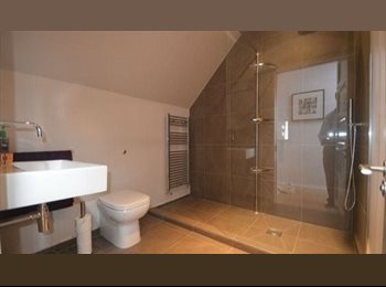 Roomgo UK - Spacious Double Bedroom & Private Study Room, Available NOW, Hampstead Garden Suburb - £830 pcm