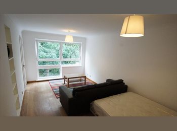Roomgo UK - Leeds Spacious Studio Near City Centre & Transport, Potternewton - £700 pcm