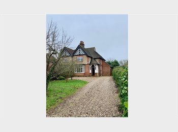 Roomgo UK - 1 Double room with en suite available, Braintree - £750 pcm