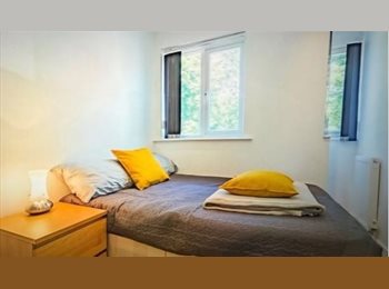 Roomgo UK - 1 ROOM AVAILABLE IMMEDIATELY IN SHARED HOUSE, Hyde Park - £594 pcm