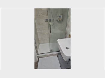 Roomgo UK - NEWLY RENOVATED LARGE SUDIO IN IMMACULATE CONDITION, Selhurst - £1,200 pcm