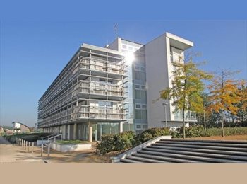 Roomgo UK - Double room, Hornsey - £900 pcm