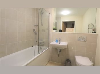 Roomgo UK - DOUBLE BEDROOM WITH A PRIVATE BATHROOM, Barnsbury - £960 pcm