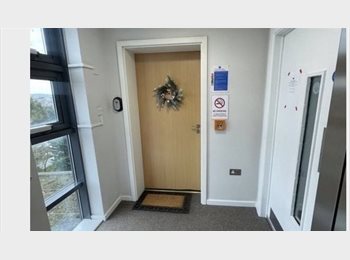 Roomgo UK - Double Room Available for Rent -FEMALES ONLY, Burnt Oak - £850 pcm