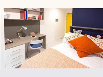 Roomgo UK - ONE BED ENSUITE PLUS SHARED KITCHEN, Glasgow - £800 pcm