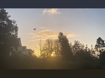 Roomgo UK - Beautiful room with a view, quiet but close to town, Truro - £800 pcm