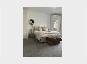 Roomgo UK - Rooms Available – Shared Kitchen & Bathroom, Balham - £1,200 pcm