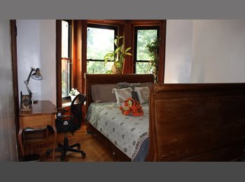 Roomgo US - Looking For a Safe Quiet Home, to Call Home, Bedford-Stuyvesant - $1,700 pm