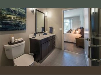 Roomgo US - 3-bed 2-bath, Equipped with Cental AC, Theater District - $800 pm