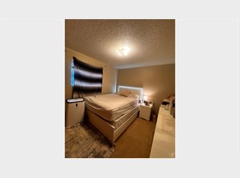Roomgo US - Looking For A Female Room-mate, Spokane - $488 pm