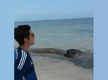 Roomgo AR - Sebastian - 28 - Mendoza