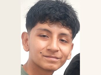 Roomgo AR - Javier  - 21 - Mendoza