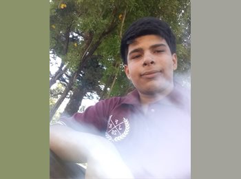 Roomgo AR - Mateo - 18 - Rosario