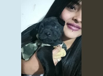 Roomgo AR - Antonella - 24 - Córdoba