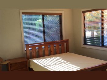Roomgo AU - Wonderful Inner Room of House for Rental, Southport - $280 pw