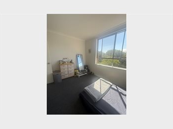 Roomgo AU - Bright & Cozy Room in Mascot – Short Stay , Rosebery - $325 pw