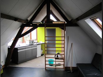 Appartager BE - studio 1/2 pers avec terrasse, Mons - 480 € pm