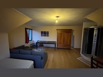 Appartager BE - 1 très Grande Chambre à louer, Louvain-la-Neuve - 465 € pm