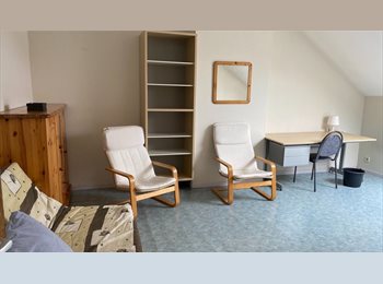 Appartager BE - Une chambre d'étudiante/jeune active dans une maison de maître., Saint Gilles Sint Gillis - 850 € pm