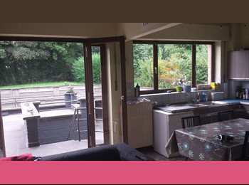 Appartager BE - Kot avec jardin proche du centre ville, Saint-Nicolas - 365 € pm