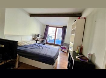 Appartager BE - Jolie chambre avec terrasse à louer à coté de la place Jourdan, Quartier européen, Etterbeek, Etterbeek - 700 € pm