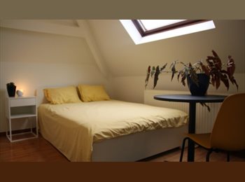 Appartager BE - chambre meublée en face du parc, Schaerbeek Schaarbeek - 675 € pm