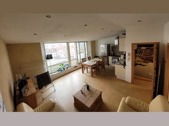 Appartager BE - Comfortable room in eco-renovated duplex with splendid view, Etterbeek - 625 € pm