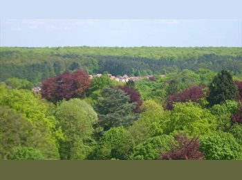 Appartager BE - Colocation Ensoleillée, Watermael Boitsfort - Watermaal Bosvoorde - 405 € pm