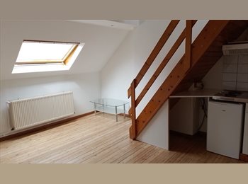 Appartager BE - Studio a louer pour ETUDIANTE au 01.07.2026, Saint Gilles Sint Gillis - 650 € pm