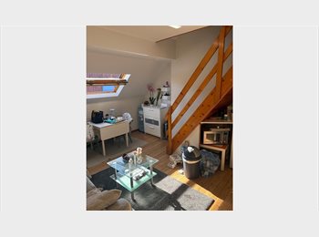 Appartager BE - Studio a louer pour ETUDIANTE au 01.07.2026, Saint Gilles Sint Gillis - 650 € pm