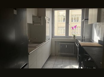 Appartager BE - Grande chambre dans magnifique appartement, Etterbeek - 720 € pm