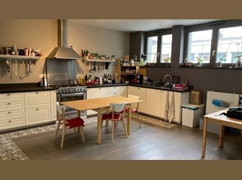 Appartager BE - COLOC 3 PERSONNES – TERRASSE – BAIN A BULLES – VIDEOPROJ – 190m2 – QUARTIER SAINT BONIFACE, Ixelles-Elsene - 883 € pm