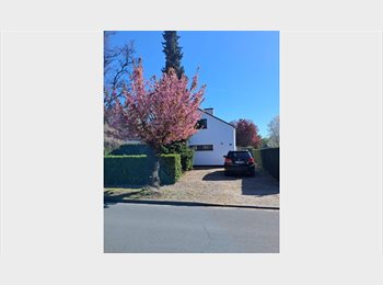 Appartager BE - 1 chambre à louer dans une colocation, Mons - 650 € pm