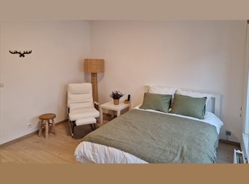 Appartager BE - Near the EU Commission, Etterbeek - 999 € pm