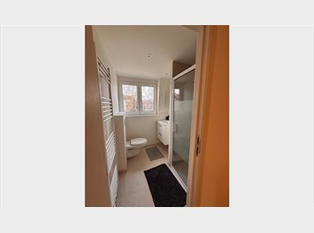 Appartager BE - Chambre chez l'habitant, Anderlecht - 550 € pm