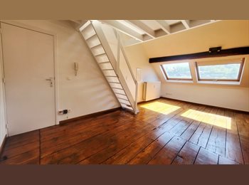 Appartager BE - STUDIO rénové - LIBRE, Namur - 800 € pm