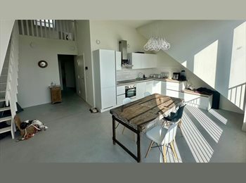 Appartager BE -  Superbe penthouse duplex meublé de 2 chambres au cœur de Bruxelles , Bruxelles - 1.800 € pm